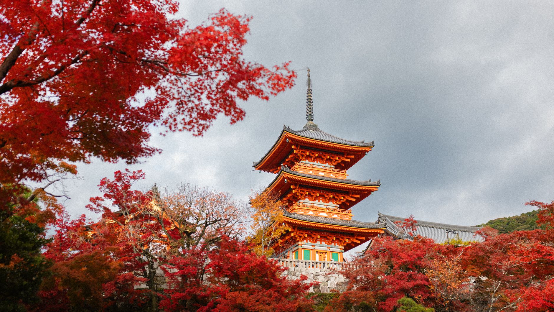 Kyoto secluded temple surrounded by maple trees and moss